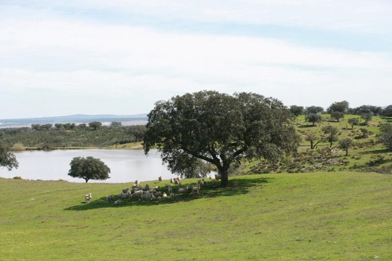Naveterra-hotel Rural Hotel 3*